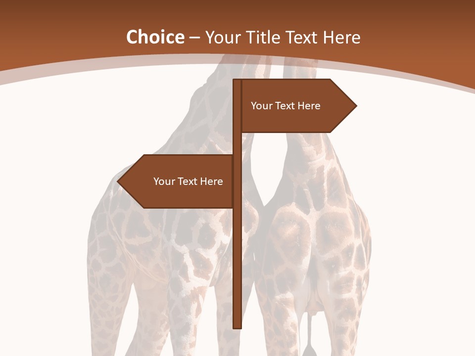 Face Profile Slim PowerPoint Template