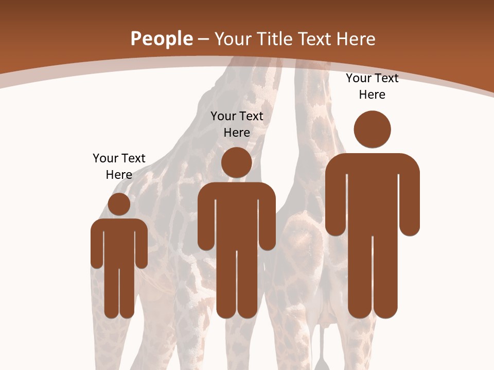 Face Profile Slim PowerPoint Template