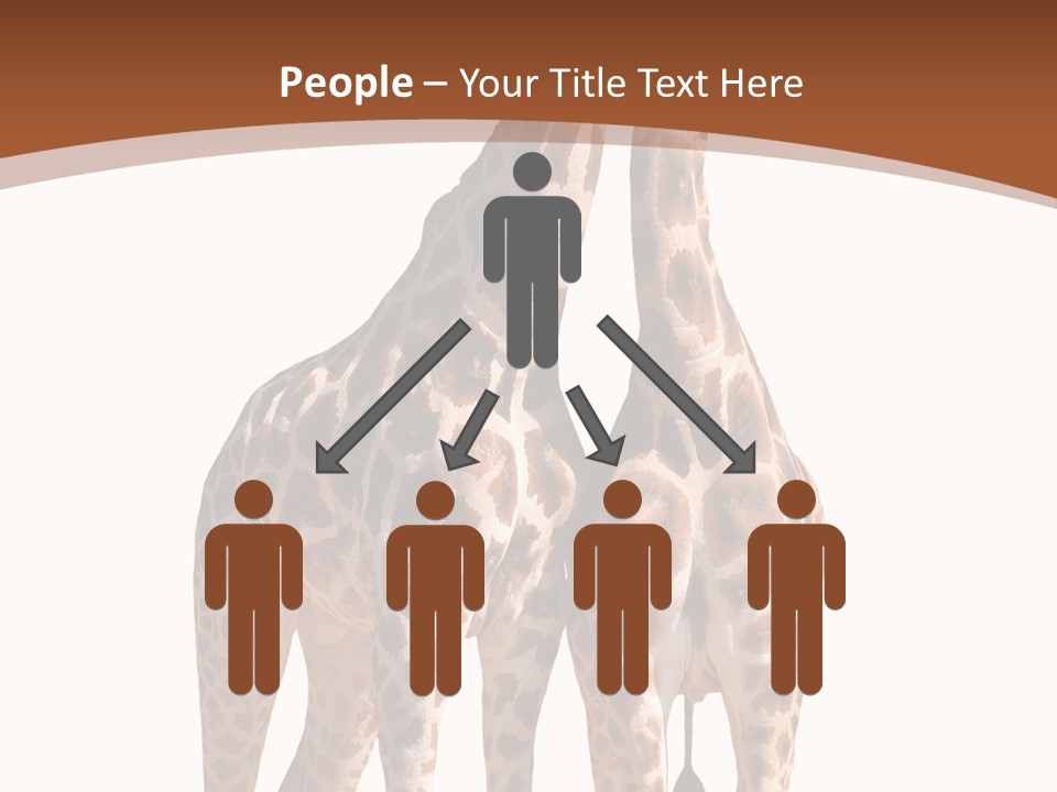 Face Profile Slim PowerPoint Template