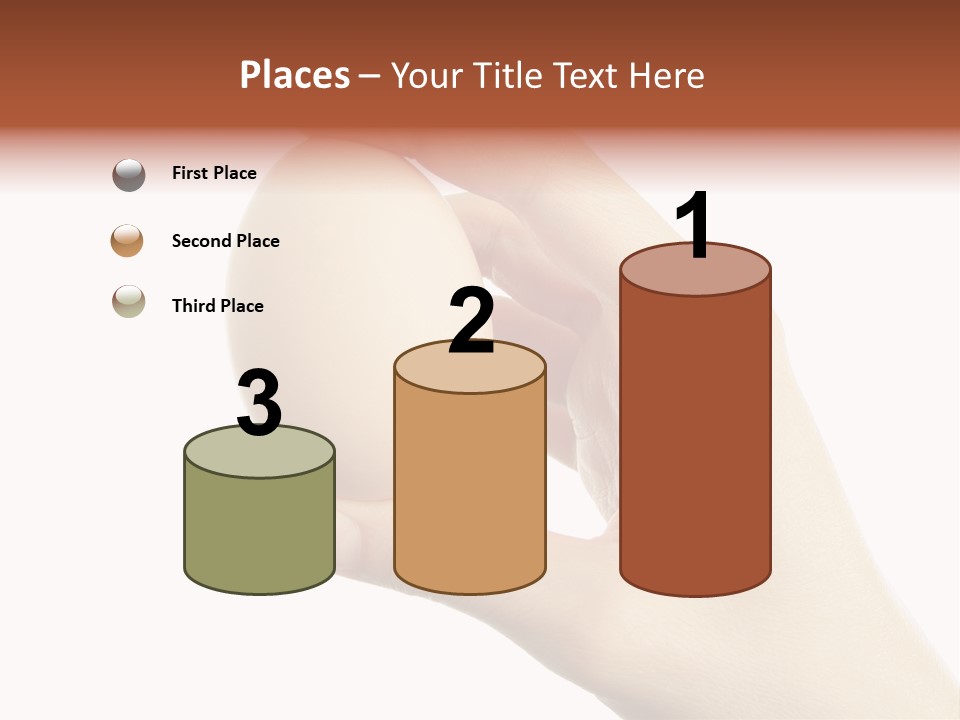 Yolk White Chicken PowerPoint Template