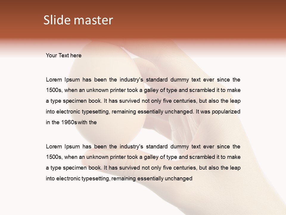 Yolk White Chicken PowerPoint Template