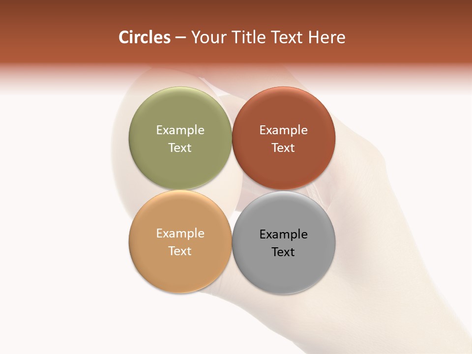 Yolk White Chicken PowerPoint Template