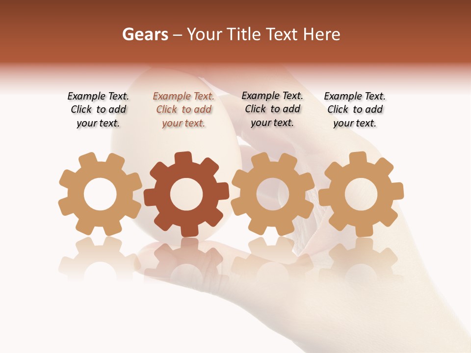 Yolk White Chicken PowerPoint Template