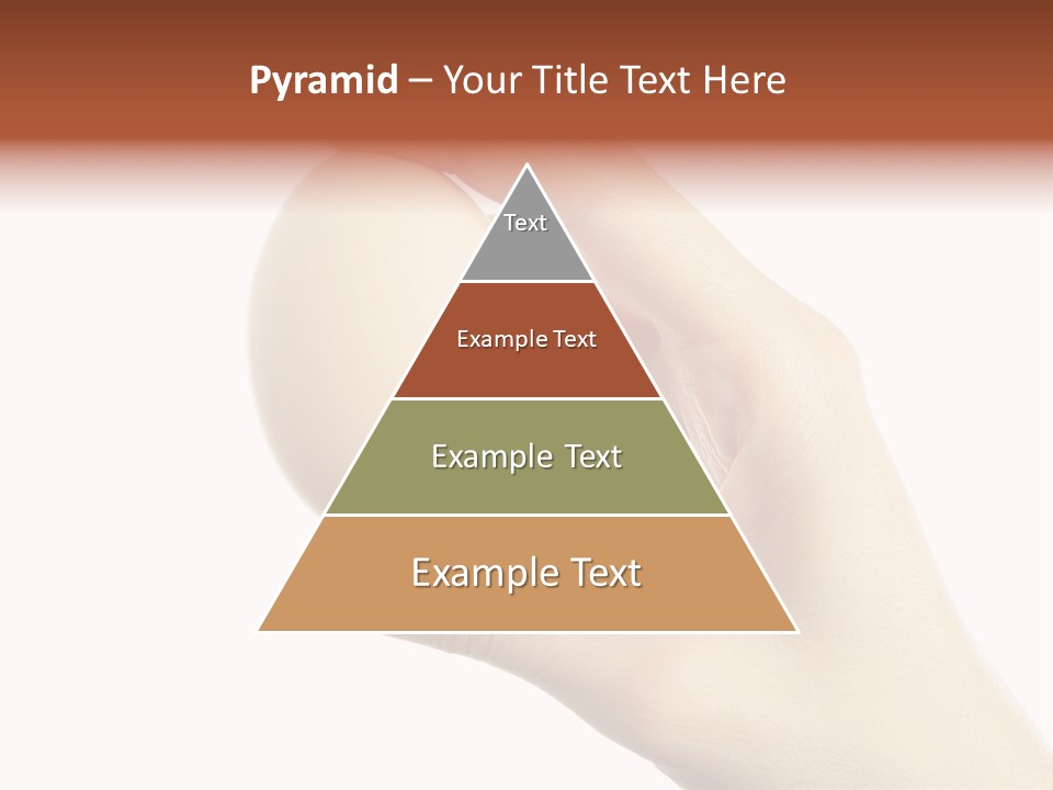 Yolk White Chicken PowerPoint Template