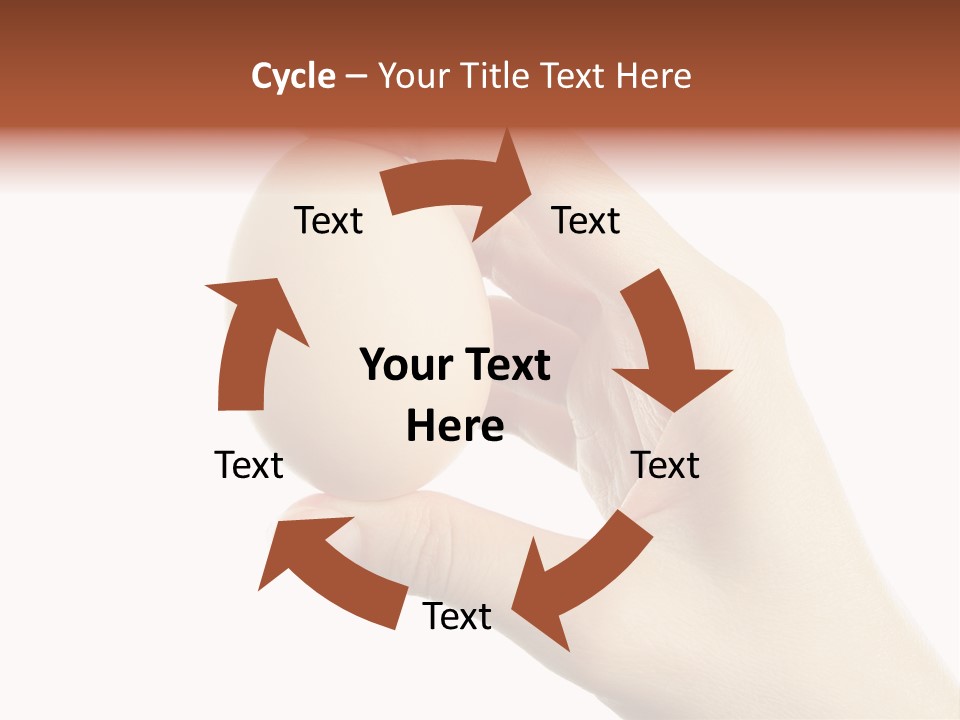 Yolk White Chicken PowerPoint Template