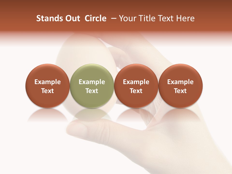 Yolk White Chicken PowerPoint Template