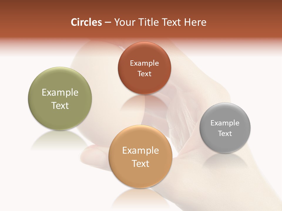 Yolk White Chicken PowerPoint Template