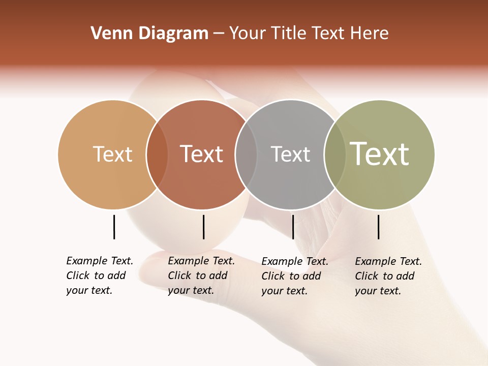 Yolk White Chicken PowerPoint Template