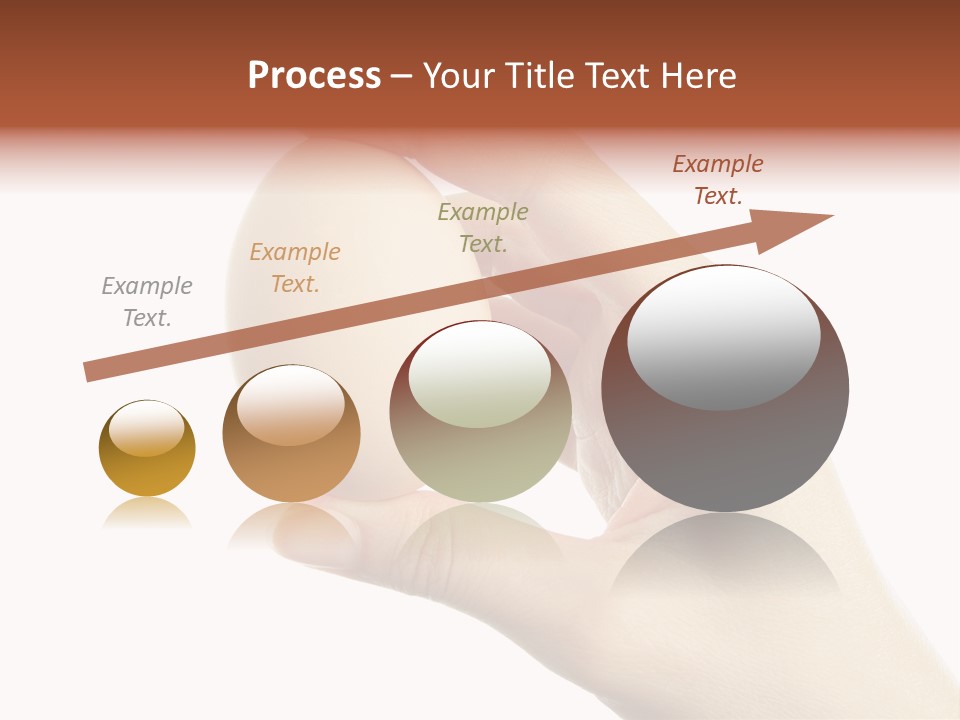 Yolk White Chicken PowerPoint Template