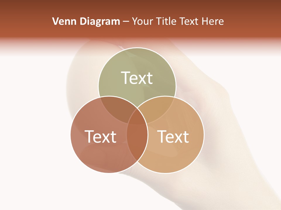 Yolk White Chicken PowerPoint Template