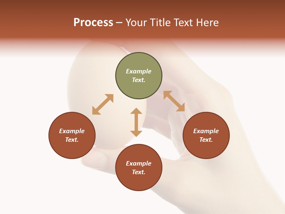 Yolk White Chicken PowerPoint Template