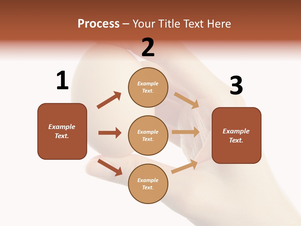 Yolk White Chicken PowerPoint Template