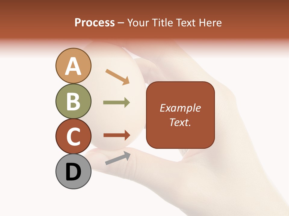 Yolk White Chicken PowerPoint Template