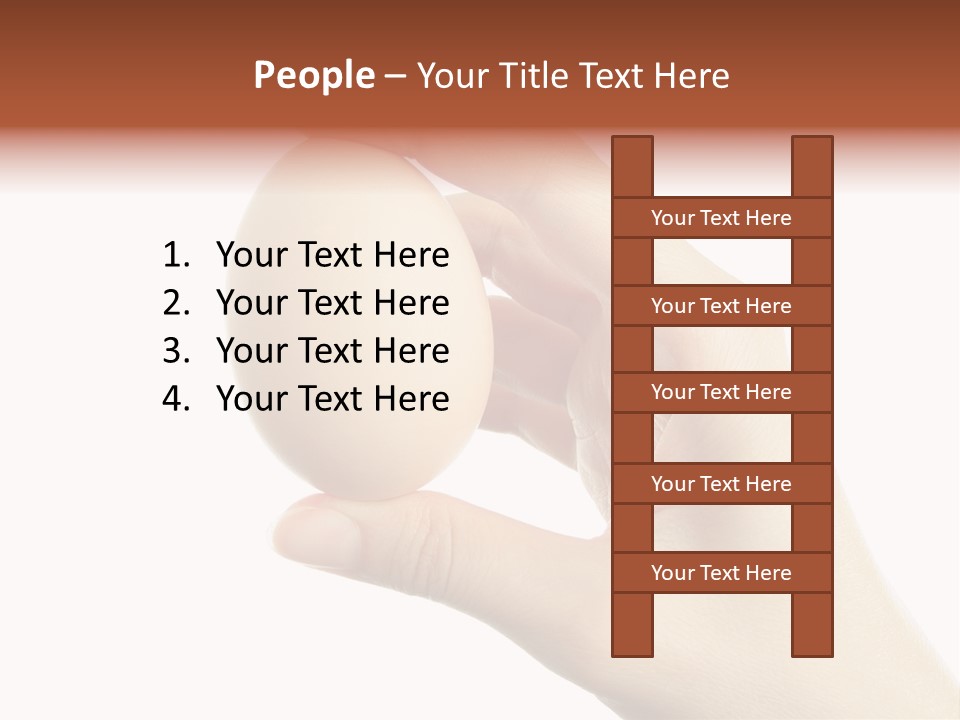 Yolk White Chicken PowerPoint Template