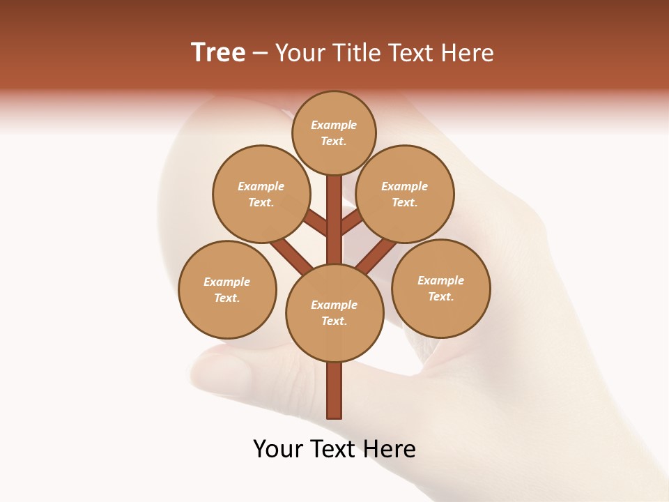 Yolk White Chicken PowerPoint Template