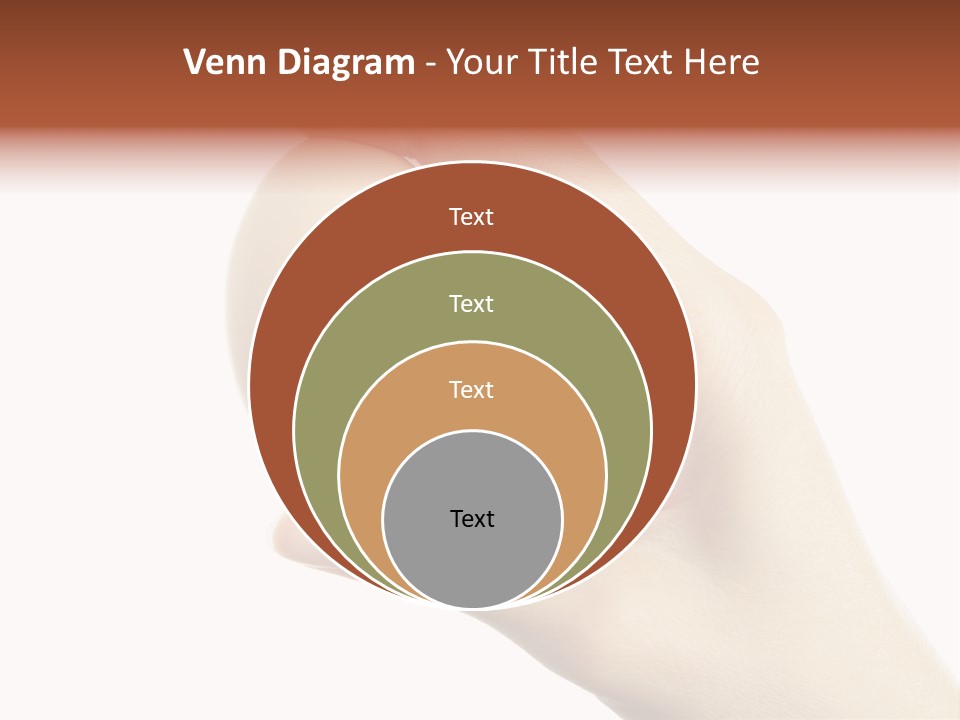 Yolk White Chicken PowerPoint Template