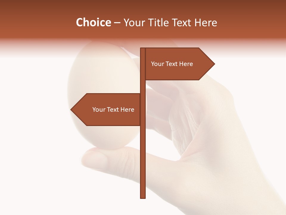 Yolk White Chicken PowerPoint Template