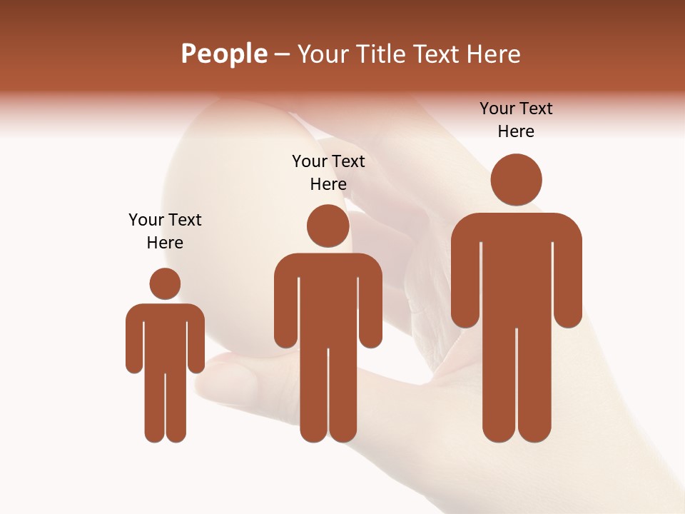 Yolk White Chicken PowerPoint Template