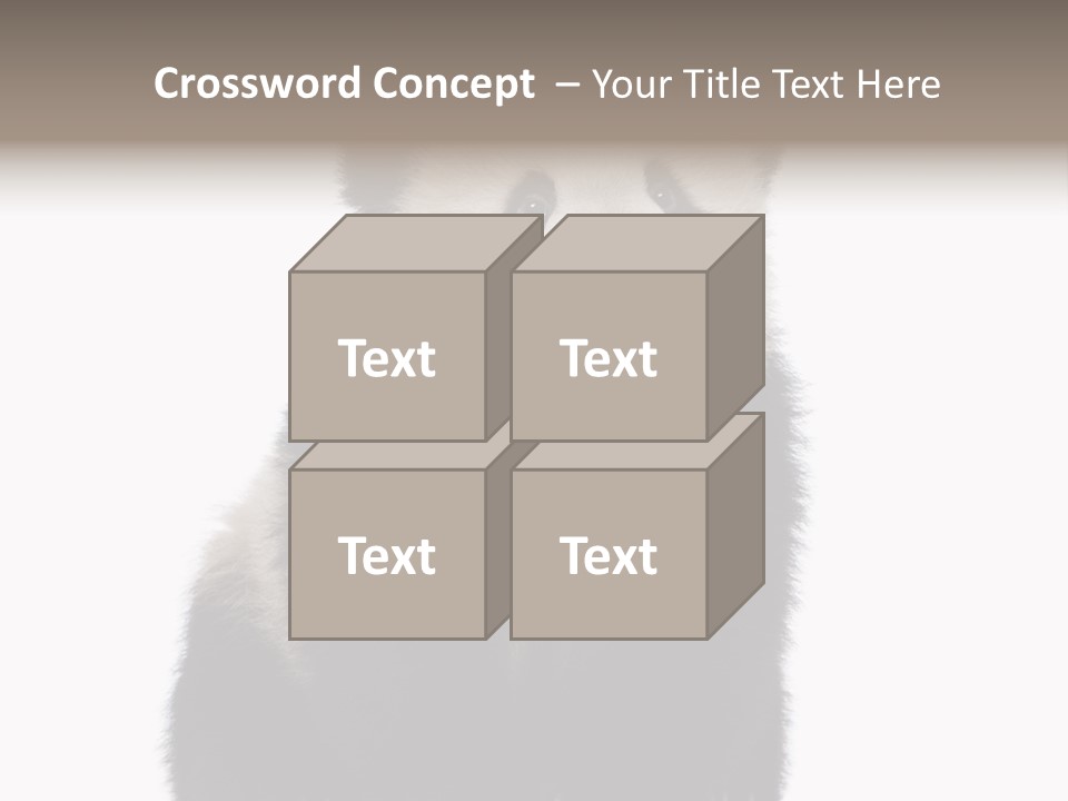 Black Bear Cub Nobody PowerPoint Template