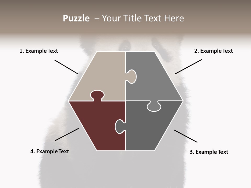 Black Bear Cub Nobody PowerPoint Template