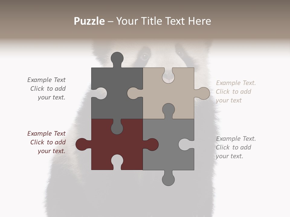 Black Bear Cub Nobody PowerPoint Template