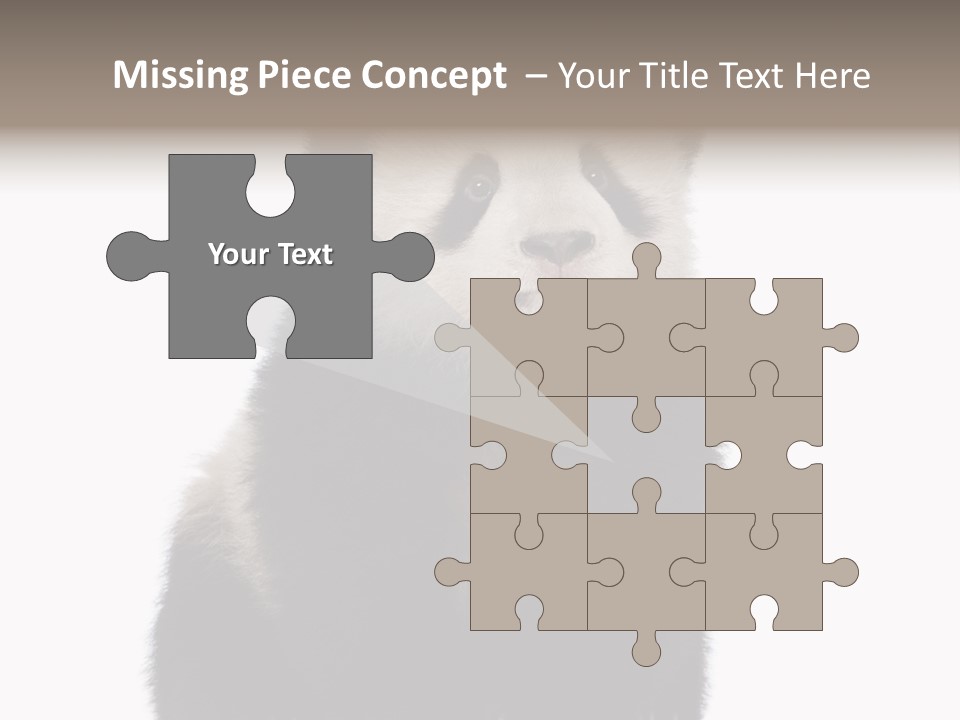 Black Bear Cub Nobody PowerPoint Template