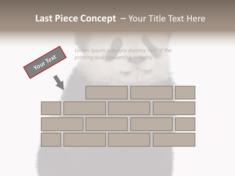 Black Bear Cub Nobody PowerPoint Template