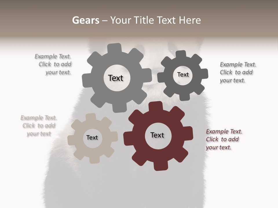 Black Bear Cub Nobody PowerPoint Template