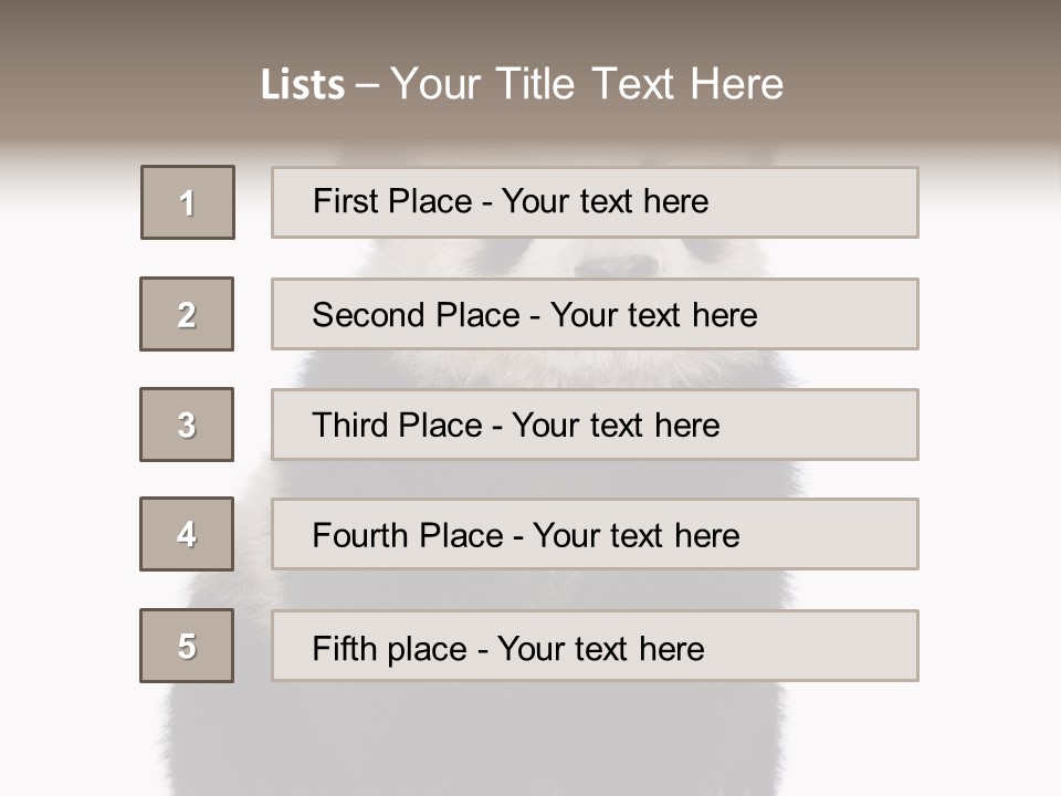 Black Bear Cub Nobody PowerPoint Template
