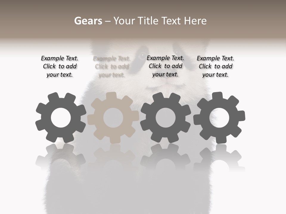 Black Bear Cub Nobody PowerPoint Template