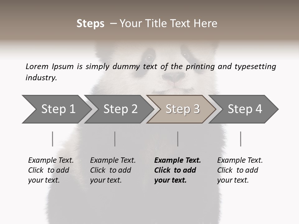 Black Bear Cub Nobody PowerPoint Template