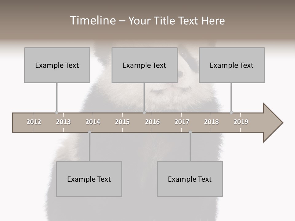 Black Bear Cub Nobody PowerPoint Template