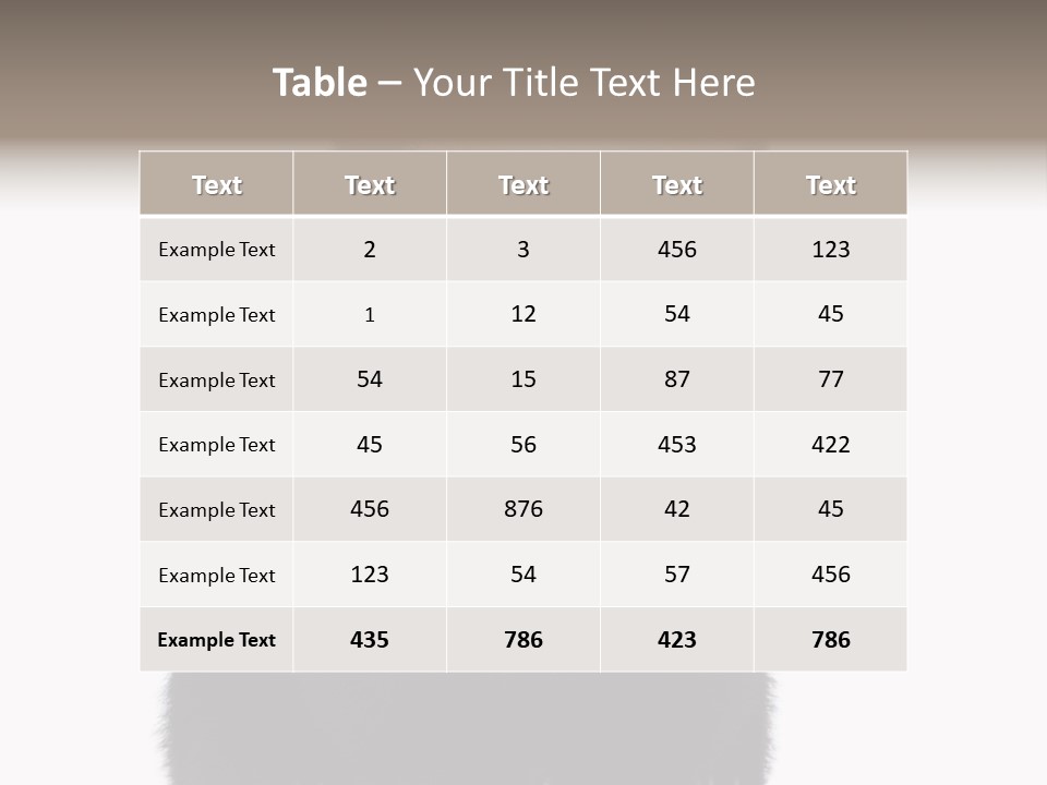 Black Bear Cub Nobody PowerPoint Template