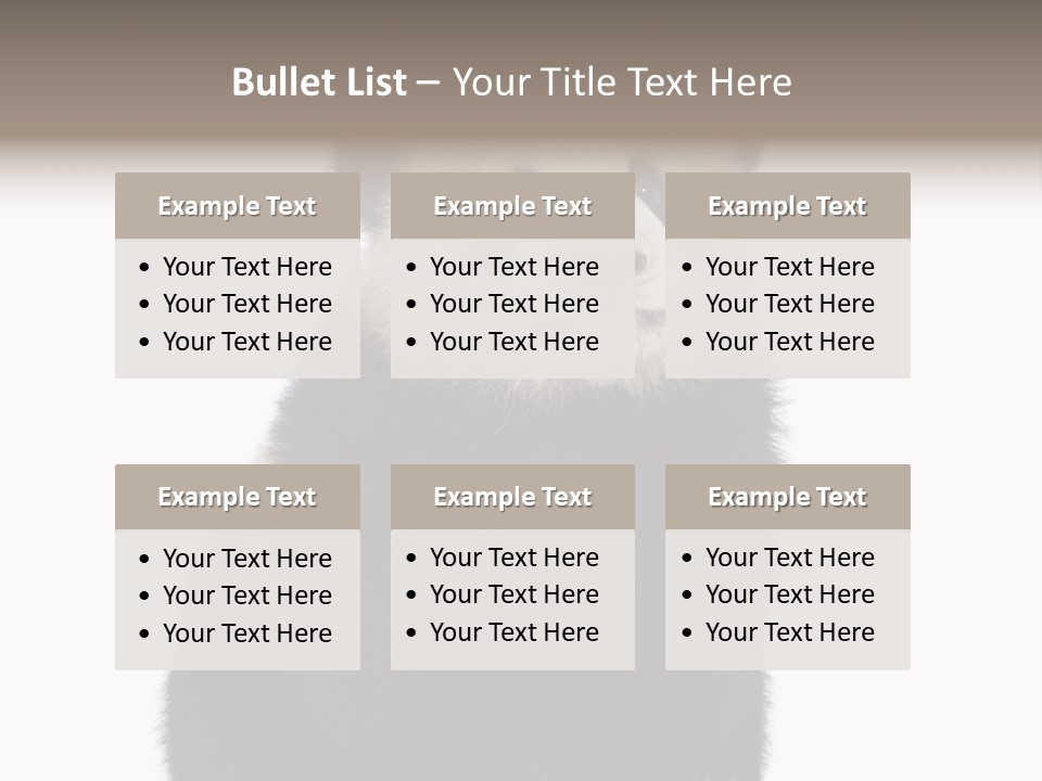 Black Bear Cub Nobody PowerPoint Template