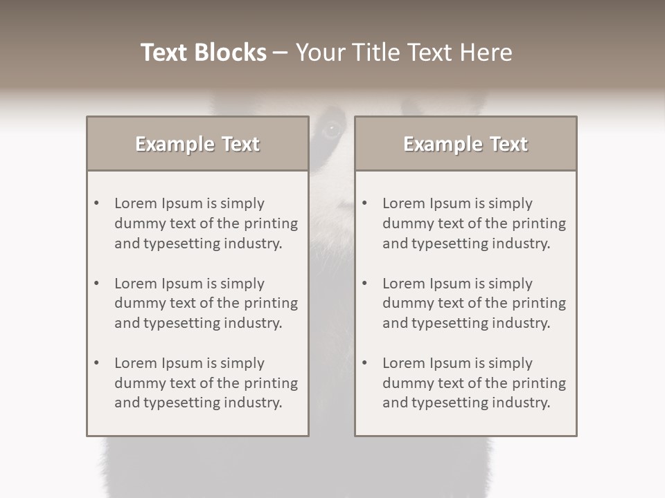 Black Bear Cub Nobody PowerPoint Template