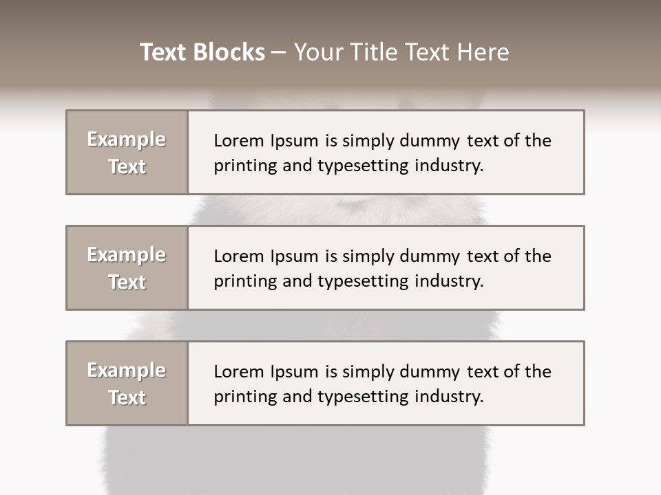 Black Bear Cub Nobody PowerPoint Template