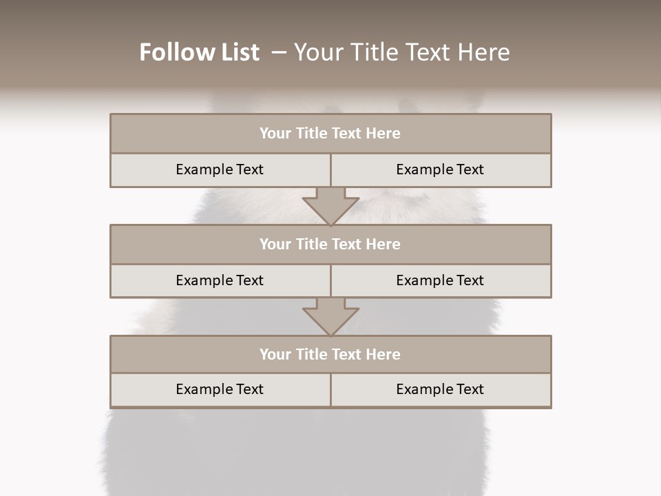 Black Bear Cub Nobody PowerPoint Template