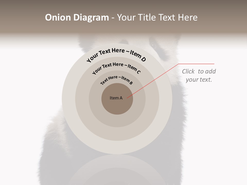 Black Bear Cub Nobody PowerPoint Template