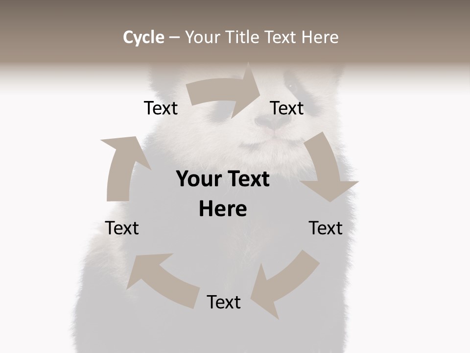 Black Bear Cub Nobody PowerPoint Template