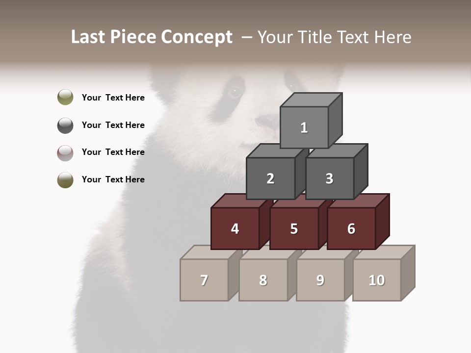 Black Bear Cub Nobody PowerPoint Template