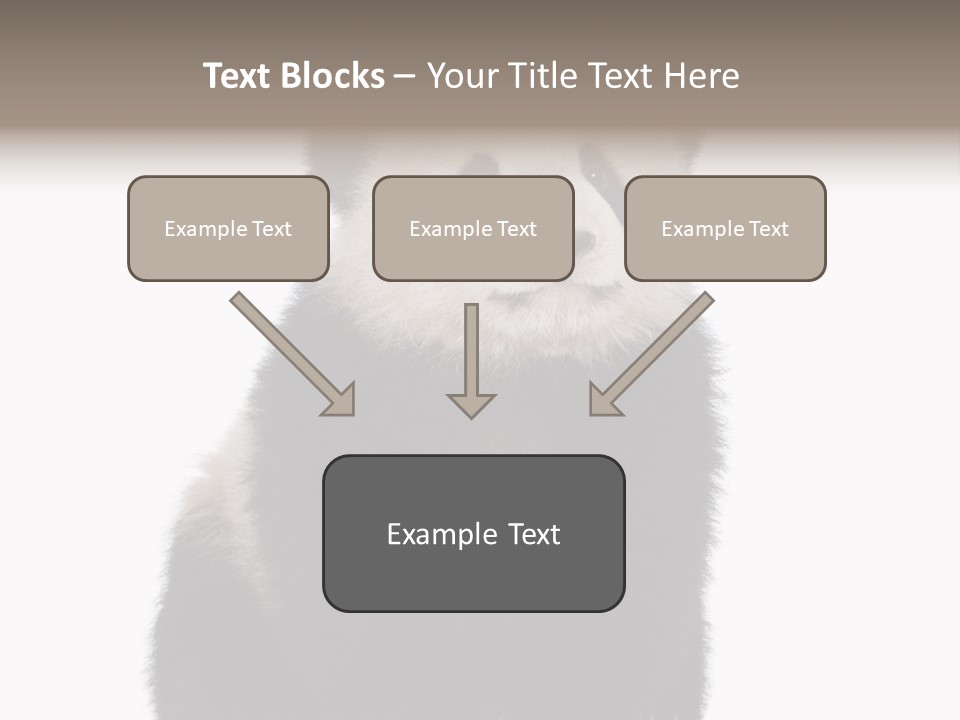 Black Bear Cub Nobody PowerPoint Template