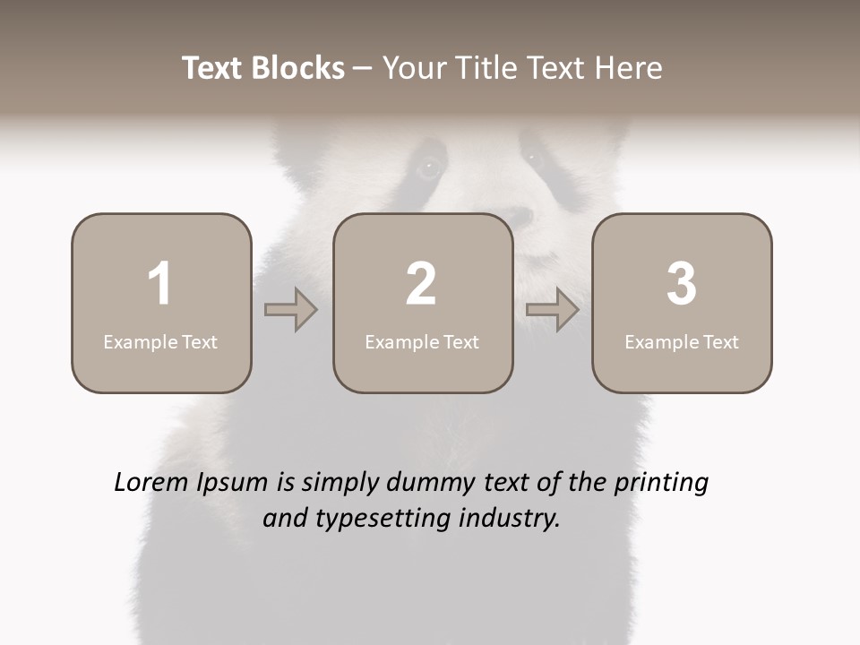 Black Bear Cub Nobody PowerPoint Template