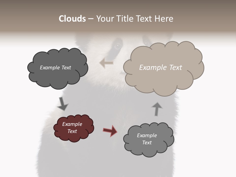 Black Bear Cub Nobody PowerPoint Template