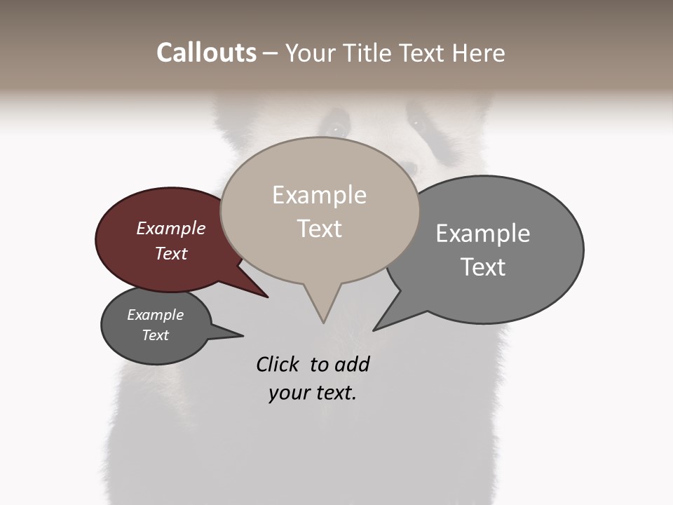 Black Bear Cub Nobody PowerPoint Template