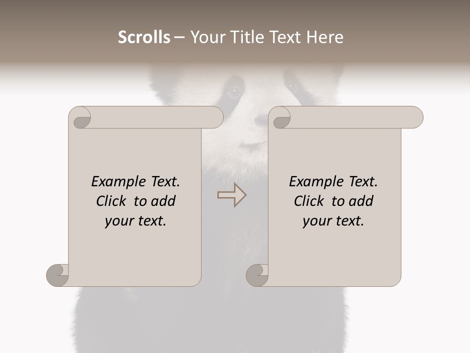 Black Bear Cub Nobody PowerPoint Template