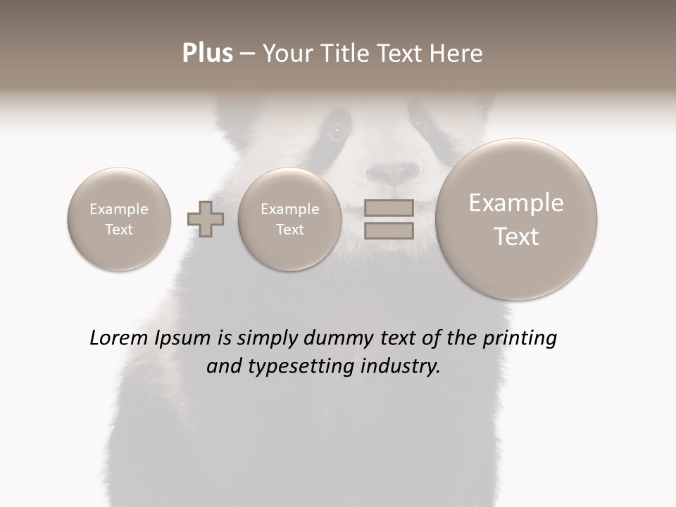 Black Bear Cub Nobody PowerPoint Template