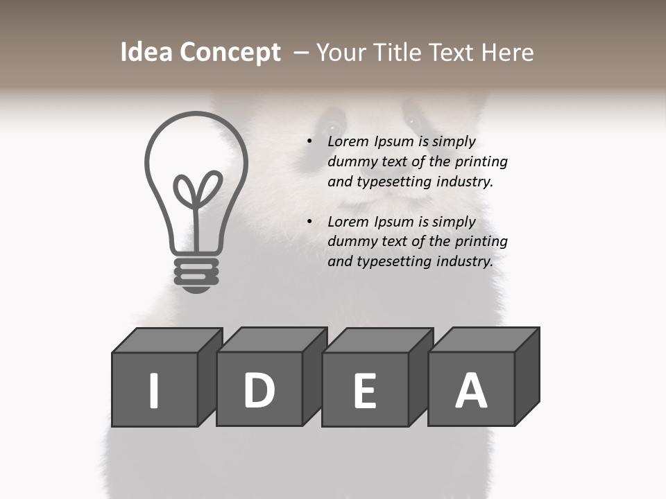 Black Bear Cub Nobody PowerPoint Template