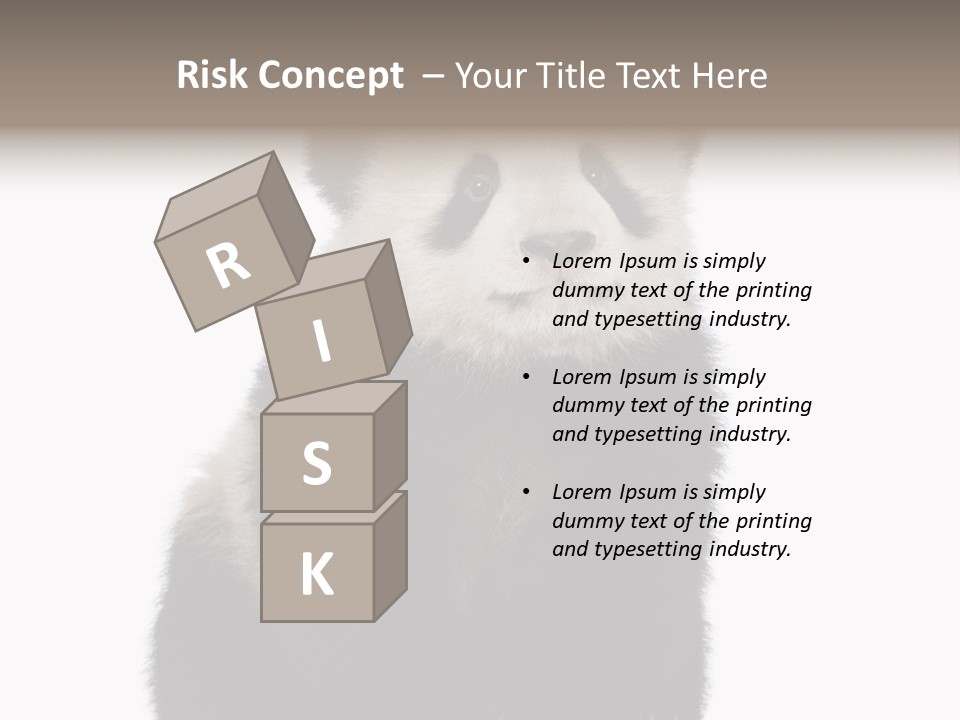 Black Bear Cub Nobody PowerPoint Template