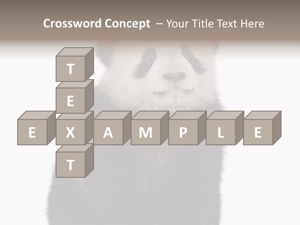 Black Bear Cub Nobody PowerPoint Template