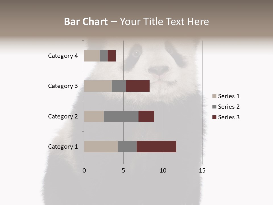 Black Bear Cub Nobody PowerPoint Template